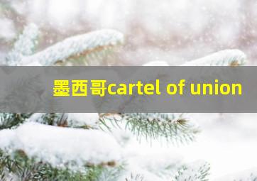 墨西哥cartel of union